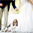 matrimonio e fido