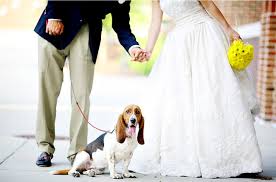 matrimonio e fido